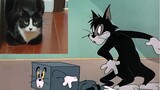 Peristiwa nyata Tom dan Jerry