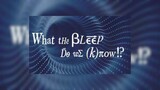 What the BLEEP Do We Know! (2004) Documentary 1080p