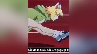 anime animexuhuong