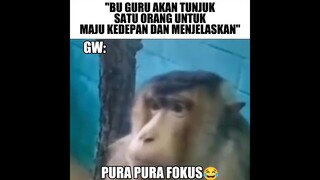 Pura Pura Fokus😂