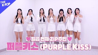 퍼플키스(PURPLE KISS) 더쇼알zip [비하인드 더 쇼 220503]