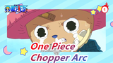 [One Piece|Chopper Arc] Have Different Dreams 2 Years Ago; Support You to Be King 2 Years Later!_1