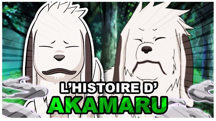Histoire de Akamaru (Naruto-Boruto)