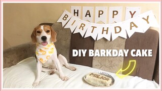 DIY DOG CAKE RECIPE | Milka the Beagle’s Birthday Party