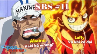 [SBS#11]. Luffy sẽ sở hữu cả 3 vũ khí cổ đại? Akainu có haki bá vương?