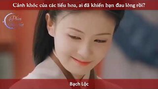 Dương Mịch,Triệu Lệ Dĩnh, Triệu Lộ Tư,Lý Thấm,...cre mỹ nhân hoa ngữ cổ trang hiện đại