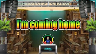 I'm coming home (Reggae Remix) Skylar Grey  2021 Tiktok Viral