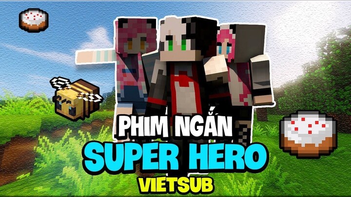 PHIM NGẮN VỀ TEAM PIRATE TV - INTRO YOUTUBER MINECRAFT ( SuperHero Vietsub ) TÌNH CẢM