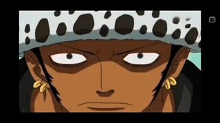 Andai ada Trafalgar law