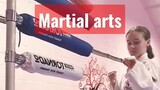 Martial Arts ศิลปะการต่อสู้