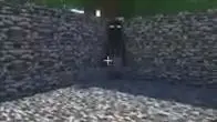 Enderman are sussy ���