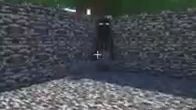 Enderman are sussy 😳