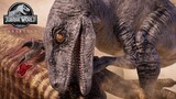 Velociraptors HUNT Gallimimus - Life in the Cretaceous || Jurassic World Evolution 🦖 [4K] 🦖