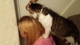 "Cat Ownership Summed Up" - Funny Cats and Humans Doing Cute Things Together