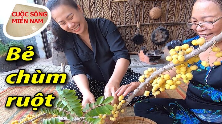 Chùm ruột ngâm đường – món ngon quê nhà - Nam Việt 958