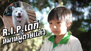 R.I.P. เดกิ หมาหนูตายแล้ว!! ร้องไห้หนักมาก