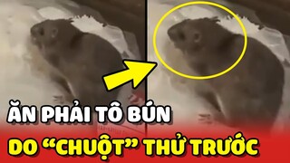 Anh chàng NHỨC NHỨC ĐẦU khi ăn phải BÚN do "CHUỘT ĐẦU BẾP" thử trước 😂 | Yêu Lu