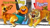 Fake Tiger Prank Dog Make Funny Feeling