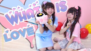 【双十双夏】双子儿童版What is love【Twins❤Twice】祝大家儿童节快乐！