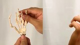 What the hell! ! ! The doll's fingers can be upgraded with such artificial bones