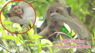 New Update...Mom Heal Baby Janet Hand, So Cute Seeing Janet Groom Mom, Janet Can Relax & Nurse