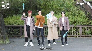 WINNER DINGO BINGO TRIP EPISODE 3 - WINNER VARIETY SHOW (ENG SUB)