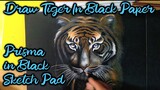 How to Draw a Realistic Tiger Face step by step | color pencil