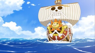 Khi mọi người đặt tên cho con tàu mới - Thousand sunny