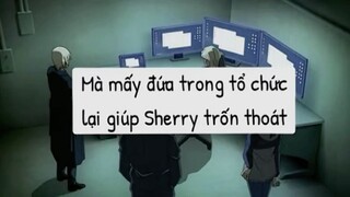Tội anh Gin 😂😂