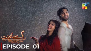 Meem Se Mohabbat | Episode 01 | Ahad Raza Mir - Dananeer Mobeen | Pakistani Drama | Hum TV