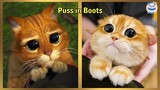 Puss In Boots: The Last Wish Characters In Real Life