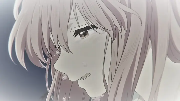 The World Cried At The Moment She Disappeared Chtholly Bilibili