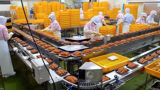 처음봅니다! 연간 350톤 생산하는 깨끗한 저염 명란 대량생산 현장 / Korean Pollock roe Mass Processing Factory