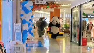 Funny panda😀♥️ Part 3 #funnyvideos #funny #funnyanimals #comedyvideos #comedy #lucu #shorts #short