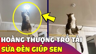 Hoàng Thượng trổ tài 'SỬA BÓNG ĐÈN' giúp Sen không một động tác thừa 😎 Gâu Đần