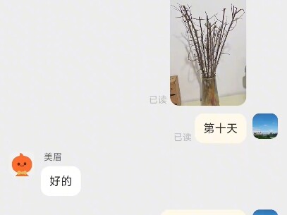 舍友坚持21天，成功退款