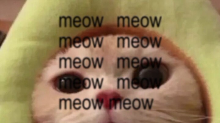 Meaw Meaw??