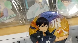 "Yeah, Tobio-chan can't hold his head up in front of Oikawa-senpai."