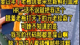 要过年了老板说要来点新鲜的血液，HR二话不说就把我这个跟着老板打天下的元老给裁了，可她不知道的是我写的代码都是屎山，除了我没人能看懂那些注释,结果...