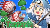 [TERRARIA] Shark girl plays Terraria (Wow!!!)