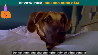 Chú chó dũng cảm -part3 #reviewphimhay