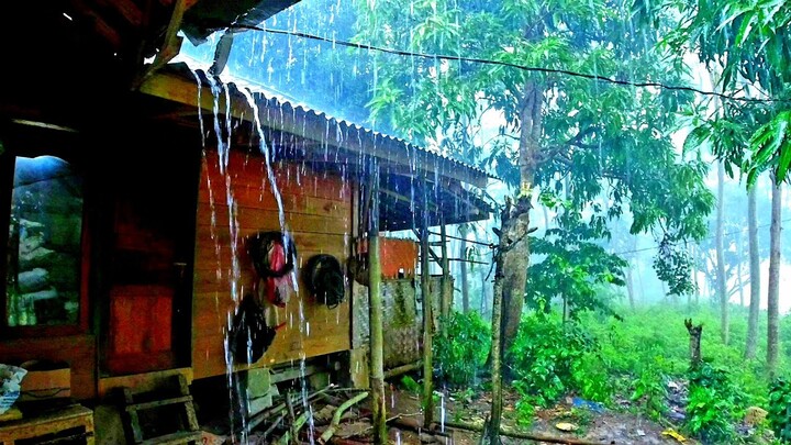 VLOG PEDESAAN 🏡 HUJAN DERAS DI KAMPUNG YANG BIKIN BETAH TENTRAM DAN NYAMAN TIDUR NYENYAK,