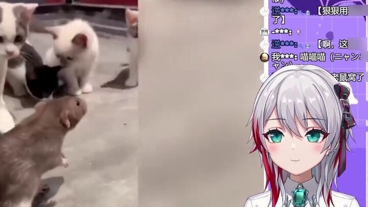 Japanese natural girl watches "Rat"