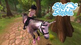 HOW BIG IS THE MAP in Star Stable Online? Ride Across the Map