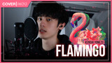 Flamingo Covered by Wei