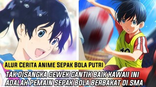 ALUR CERITA ANIME SEPAK BOLA WANITA - SAYONARA WATASHI NO CRAMER