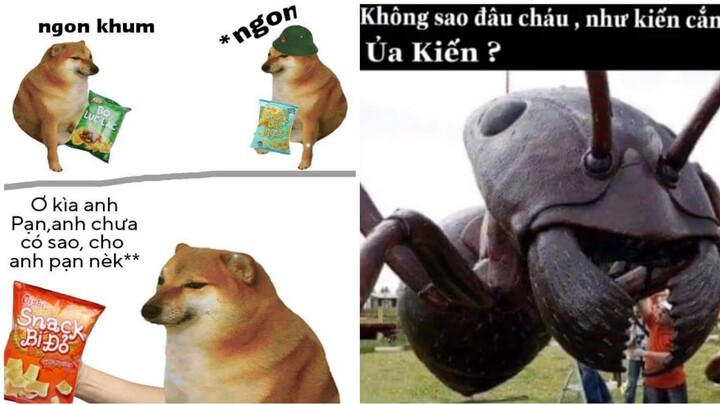 Meme ảnh chế#79:" hôm nay tặng các bro bimbim bí đỏ nek"