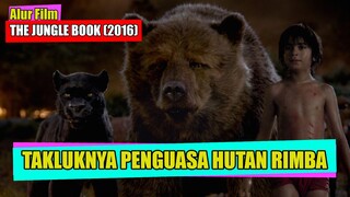 Kisah Anak Manusia Menjadi Raja Hutan | Alur Film THE JUNGLE BOOK (2016)