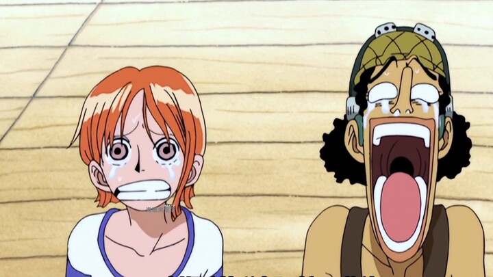 One Piece The last chapter needs to be both reasonable and consistent with the plot.