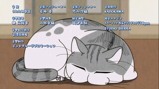 Ep. 17 Yoru wa Neko to Issho (2022) (Sub Indo) | Nights with a Cat | Zutto Neko Shoshinsha | Summer